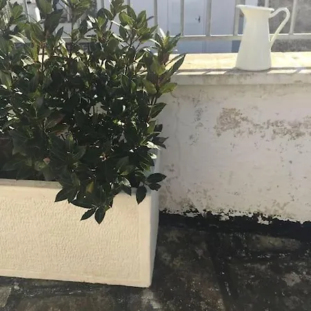 Casa Liberta Spacious White Scandidesign Apartment *