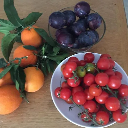 Casa Liberta Spacious White Scandidesign *